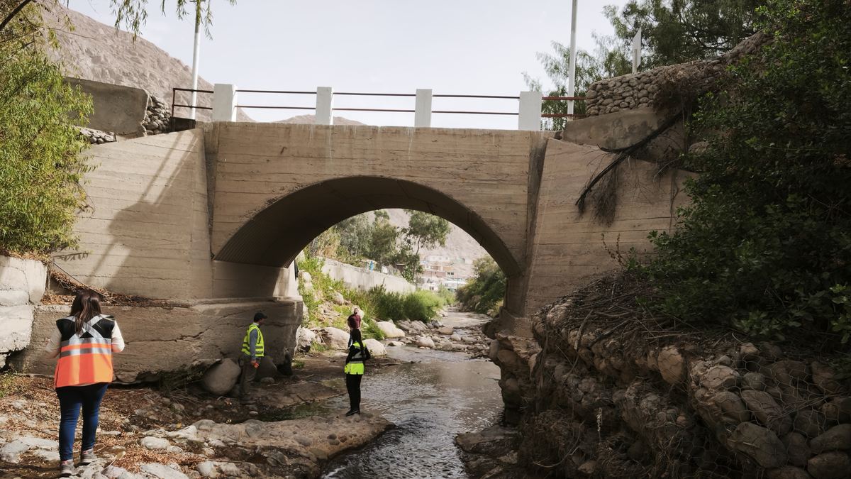 Puentes Acha y Codpa, Ruta A-35